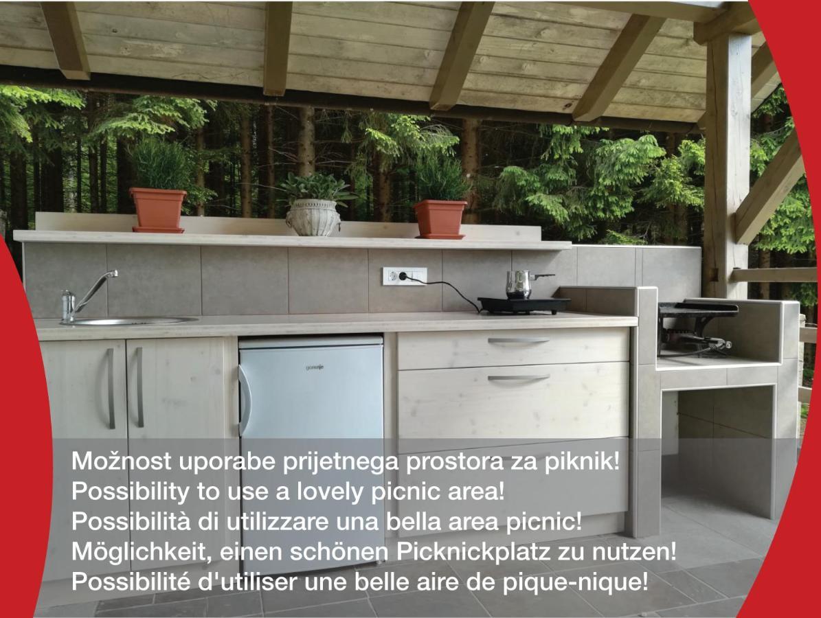 מלון Rakek Gostilna S Prenocisci Pav מראה חיצוני תמונה